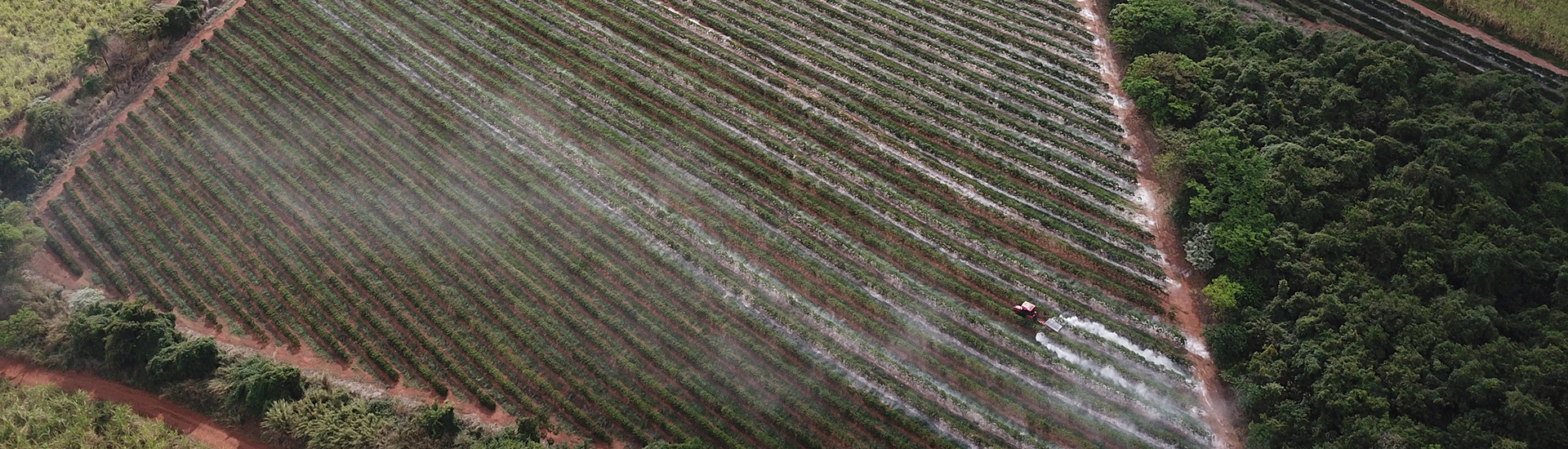 Marispan Uso do carregador frontal otimiza tempo do produtor no campo