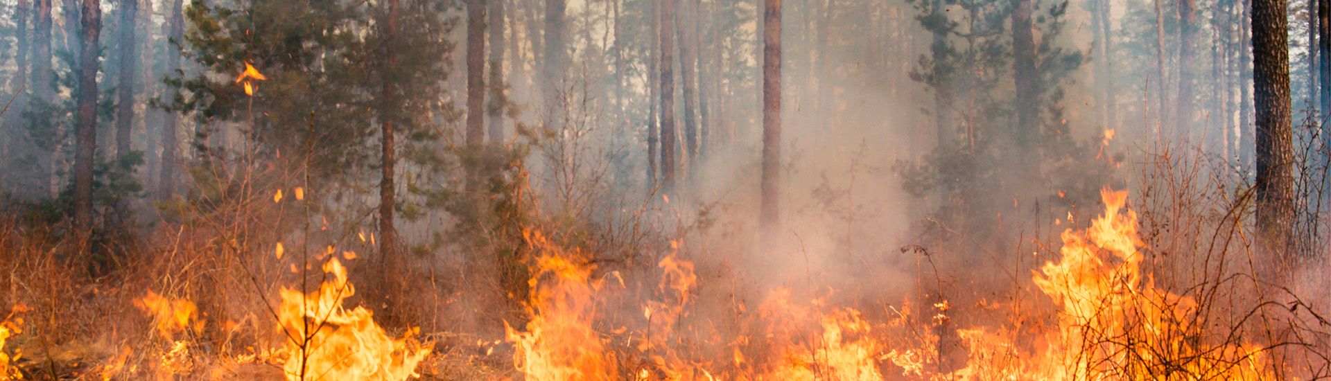 Marispan Proteja sua propriedade rural dos incêndios com a ajuda dos implementos agrícolas